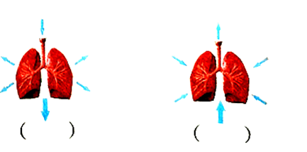 吸气的示意图图片