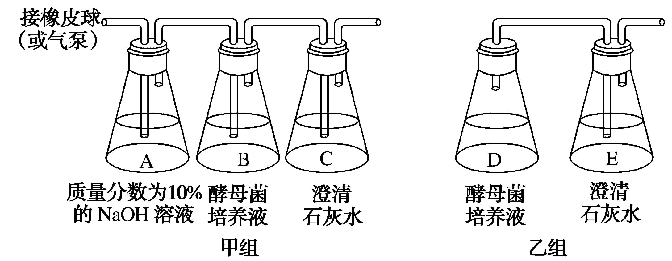 下图为探究酵母菌细胞呼吸方式的实验装置,相关分析错误的是