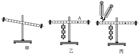 (1)安装杠杆时,杠杆位置如图甲所示,为了使杠杆在水平位置平衡,应该将