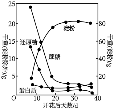 某研究小組測定小麥種子成熟過程中相關物質乾重的百分含量變化結果