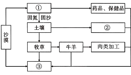 重慶高中地理湘教版必修Ⅲ 第一節 荒漠化的危害與—.