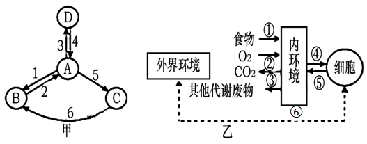 体液之间的物质交换图图片