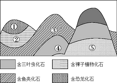 地质剖面图怎么画图片