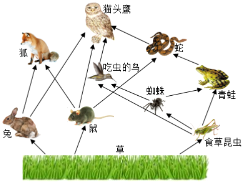 生态系统坐标图简图图片