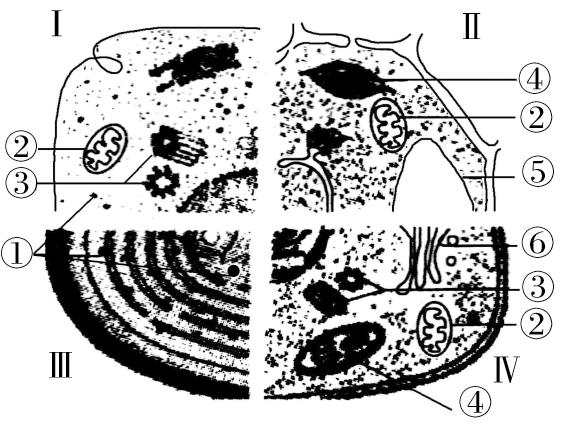 如圖是四類細胞的亞顯微結構模式圖,據圖回答