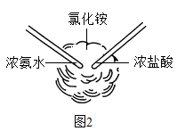 (1)若图1中试剂x为浓氨水,可观察到的现象是