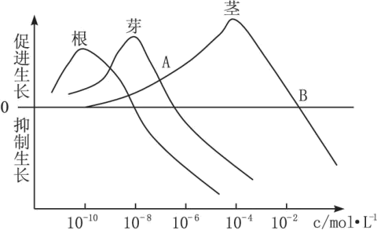 (1)图中促进植物根的最适浓度为 