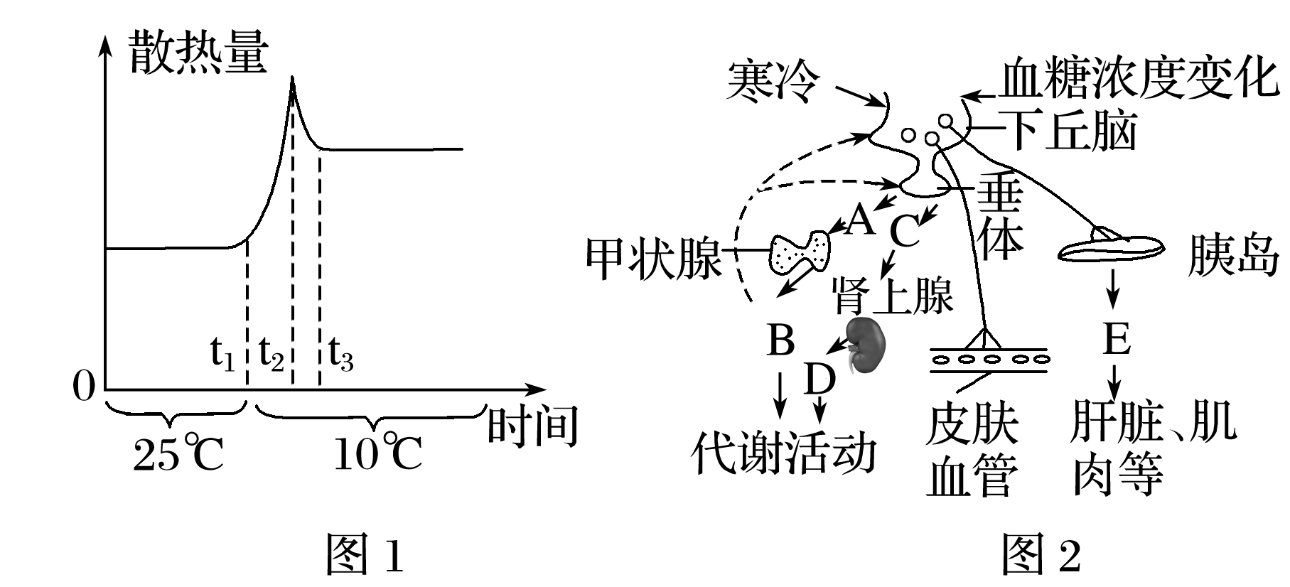 體液調節是維持內環境穩態的重要調節機制,請據下圖回答下列問題