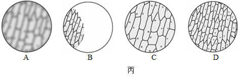 如图为油菜的结构层次图,请据图回答