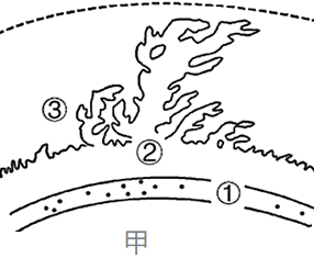 讀太陽大氣結構示意圖和太陽系部分結構圖完成下列問題