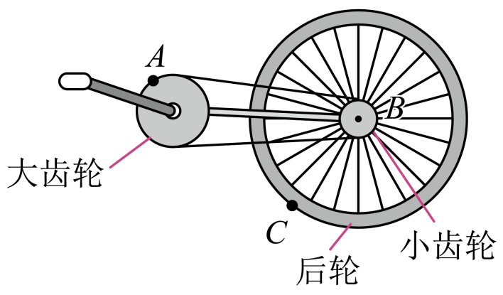 自行车后轮原理图图片