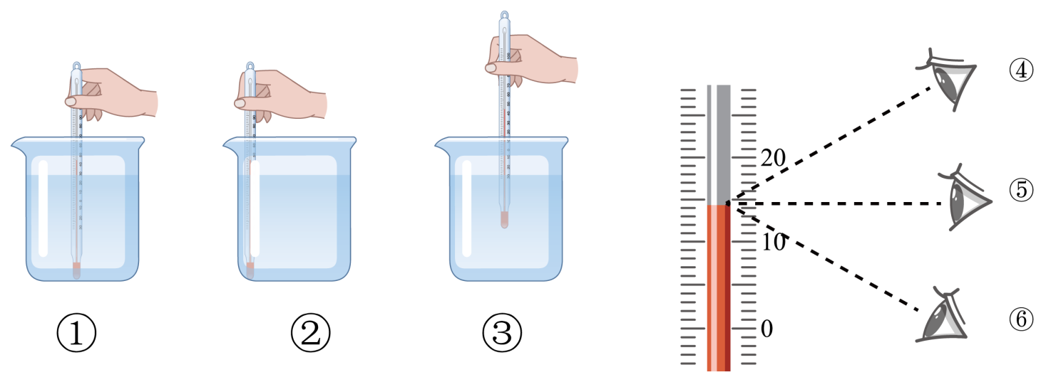 玻璃体温计用法图片