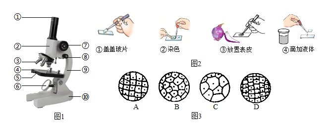 某同學不按操作要求,用清水代替生理鹽水進行實驗,其他操作正確