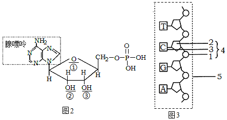 如图所示为构成细胞的元素及化合物,a,b,c,d代表不同的小分子物质 a