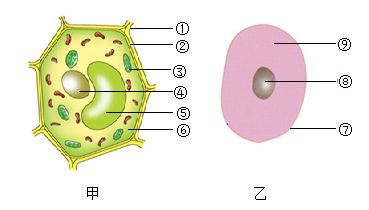 【推荐2】如图为动植物细胞结构模式图,请据图回答问题
