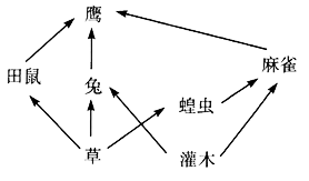 麻雀和兔子不在一條食物鏈中,所以不存在任何關係 d.在