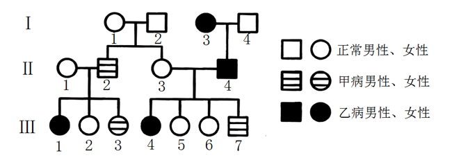 甲病和乙病均為單基因遺傳病,某家族遺傳家系圖如
