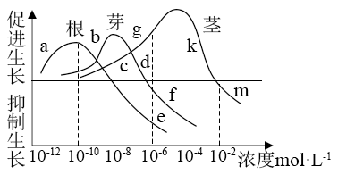 【推荐1】如图表示棉花的根,芽,茎在不同生长素浓度下的生长情况,请