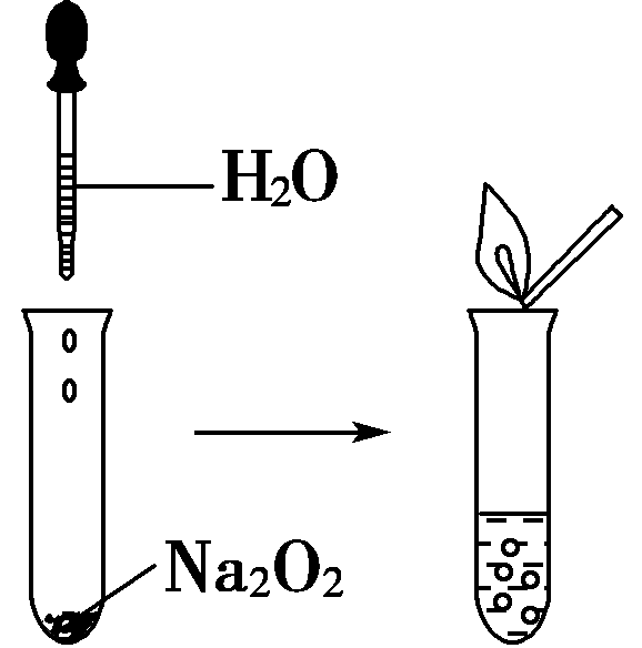 (2)过氧化钠与水反应的方程式