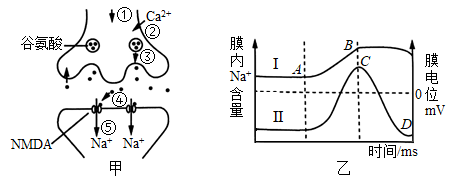 膜电位变化曲线图图片