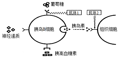 高中生物綜合庫 穩態與環境 動物和人體生命活動的調節 通過體液的