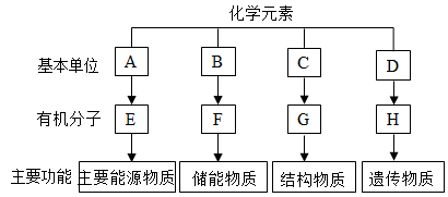 【推荐3】如图表示细胞内4种有机物的组成,请分析回答