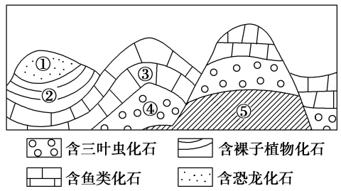 ③-②-①【小題2】下列關於各地質時期的敘述正確的是()2021·浙江