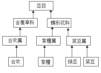 如图是几种植物的分类等级示意图以下叙述