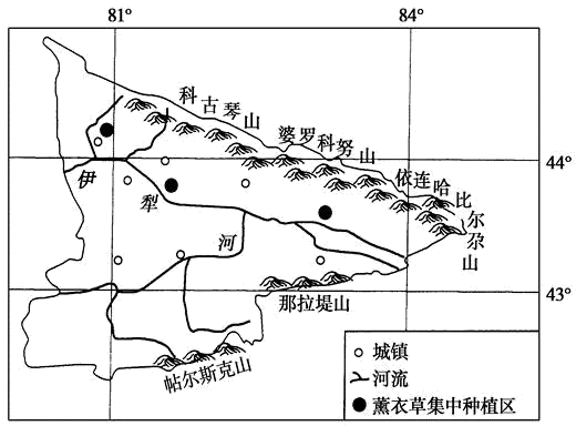 我国油菜分布图图片