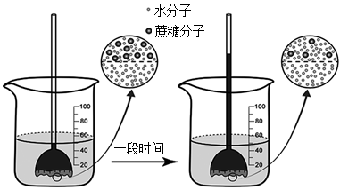 下圖是滲透裝置示意圖,在長頸漏斗的開口端有一層半透膜(蔗糖分子不能