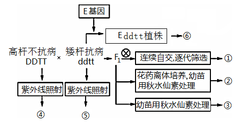 獲得④⑤的育種方式是誘變育種,得到的變異個體不全都符合農業生產