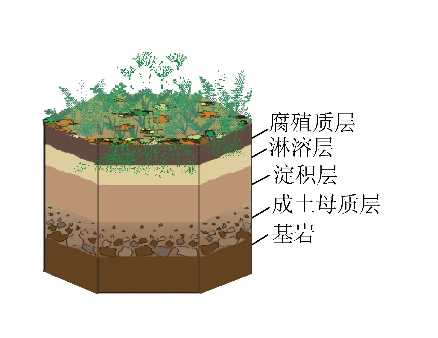 下图为成熟土壤剖面示意图读图据此完成下面小题