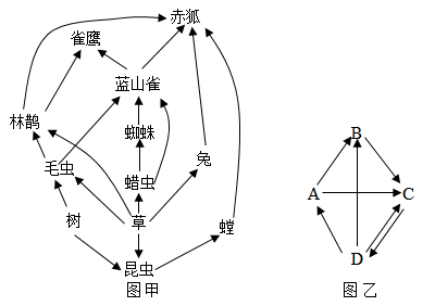 图甲是某森林生态系统部分生物关系示意图图乙表示该生态系统的组成