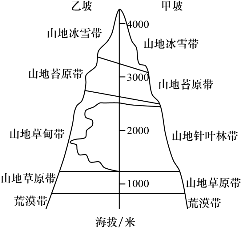 植被带分布图简易图图片