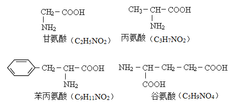 一条多肽链图片