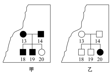 可按 __________________________公式計算白化病的發病率