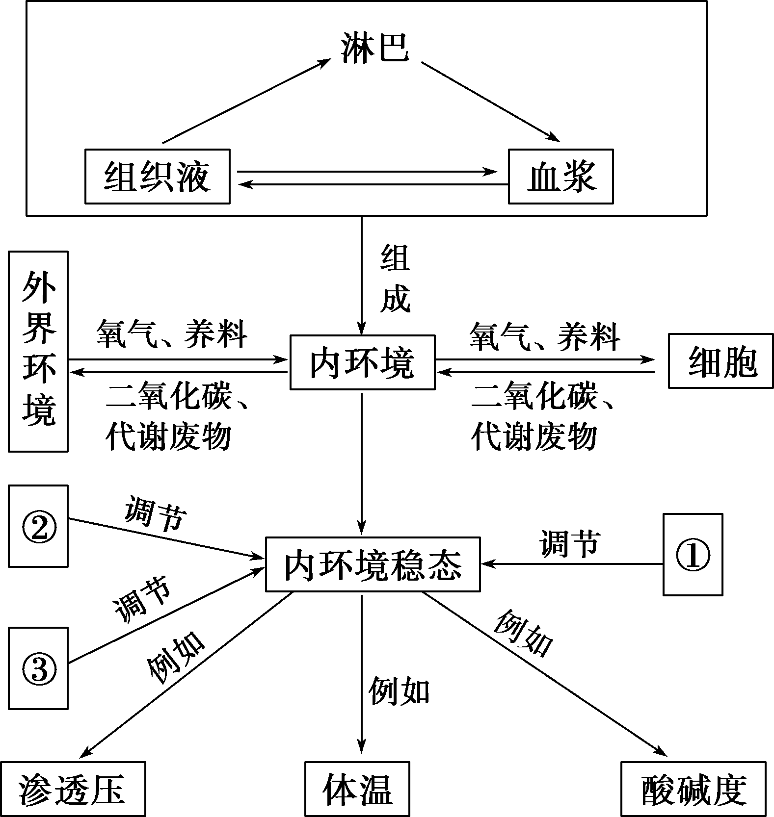 根据内环境及其稳态的知识