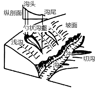 黄土勺状沟壑是指外表呈勺状,掌状或分叉状且独立发育于黄土坡面中部