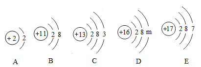 镁离子的离子符号图片