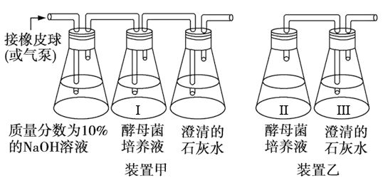 某兴趣小组以酵母菌为实验材料,利用下面三个装置来研究细胞呼