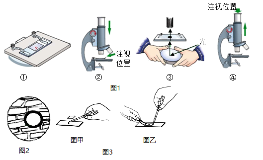 自制简易显微镜教程图片