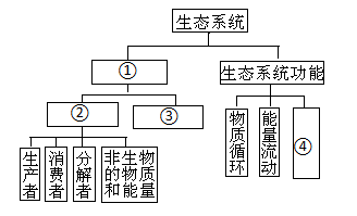 生態系統的結構,生態系統的種類,食物鏈和食物網,物質循環c.