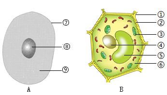 如圖為動植物細胞的結構簡圖請據圖回答