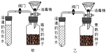 該裝置可驗證植物的呼吸作用消耗了氧氣c.