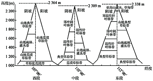 植被带模式图图片