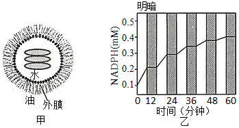 下图是油菜种子在萌发成幼苗的过程中,根据其干重和鲜重的变化而绘制