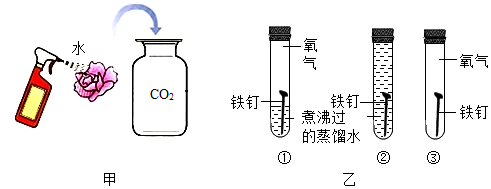 (填化學式)(2)乙圖實驗中實驗①③對比說明鐵生鏽需要的條件是