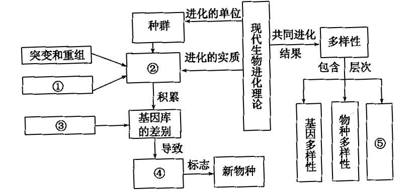 如图是关于现代生物进化理论的概念图下列分析合理的是