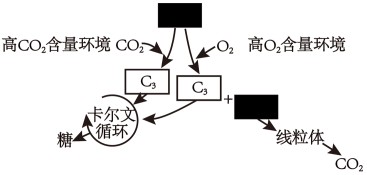 光合作用過程中co2在葉綠體基質中被利用b.農業上,控制