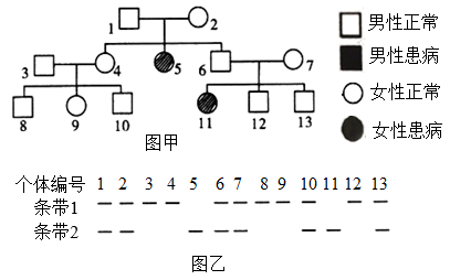 該病的遺傳方式為伴x染色體隱性遺傳b.